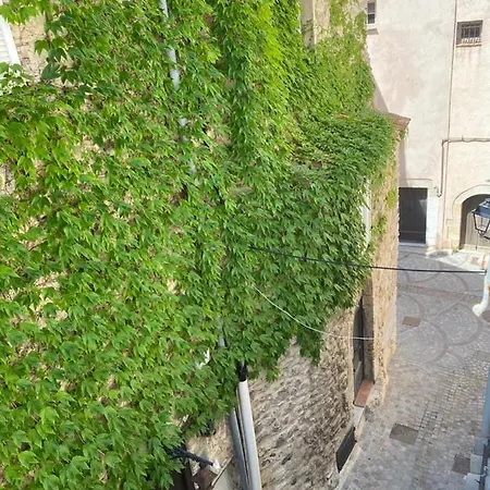 Charming Flat In Old - 50m From The Sea Daire